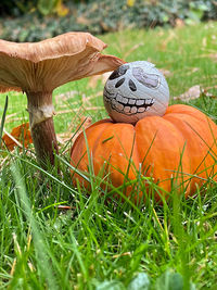 Close-up of pumpkin on field during autumn