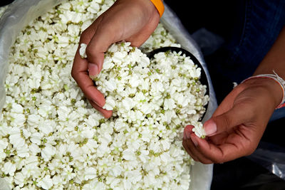 High angle view of person holding flowers