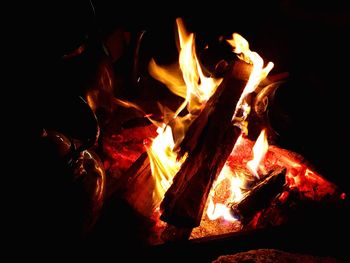 Close-up of bonfire at night