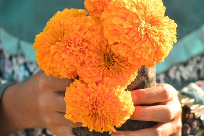 Close-up of hand holding orange flower