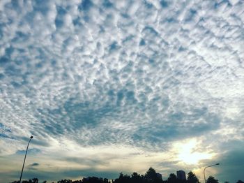 Low angle view of trees against sky