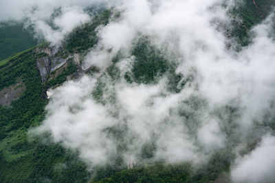 High angle view of trees on land against sky