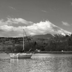 Boats sailing in sea