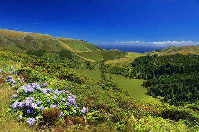 Scenic view of landscape against blue sky