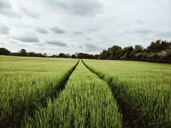 Scenic view of field against cloudy sky