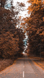 Empty road amidst trees in forest during autumn