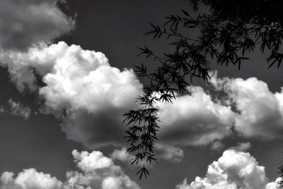 Low angle view of cloudy sky