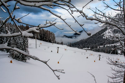 Bare trees on snow covered landscape against sky