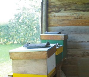 Close-up of empty bench