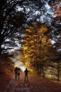 Rear view of people walking on road amidst trees during autumn