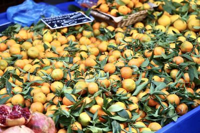 Close-up of fruits for sale