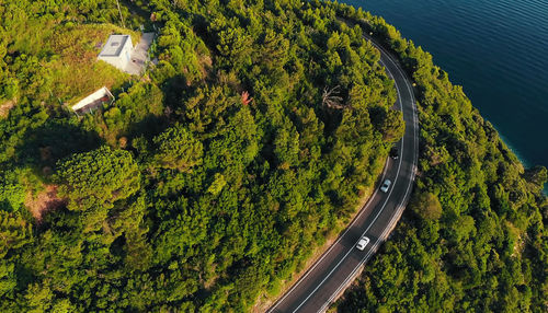 High angle view of road amidst plants