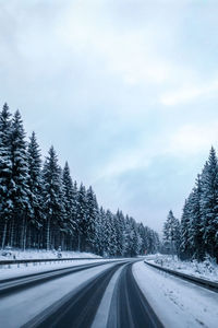 Snow covered road amidst trees against sky