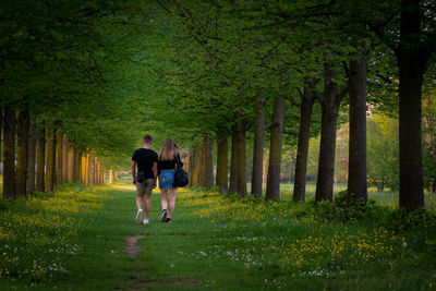 Rear view of couple walking in forest