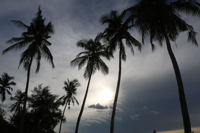 Low angle view of silhouette palm trees against sky