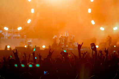 Crowd at music concert