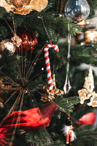 Close-up of christmas tree