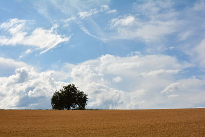 Scenic view of land against sky