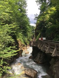 View of waterfall in forest