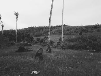 View of field against sky