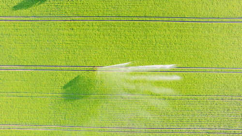 Aerial view by a drone of a potato field being irrigated by gigantic and powerful irrigation system