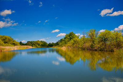 Scenic view of lake by trees against blue sky