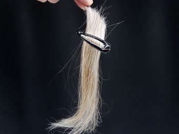Cropped hand of person holding clip in blond hair against black background