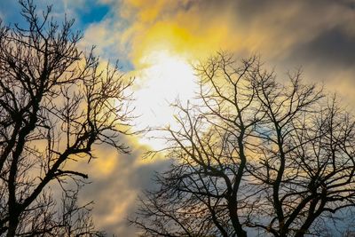 Low angle view of silhouette bare tree against sky during sunset