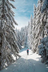 Person walking on snow covered mountain against sky