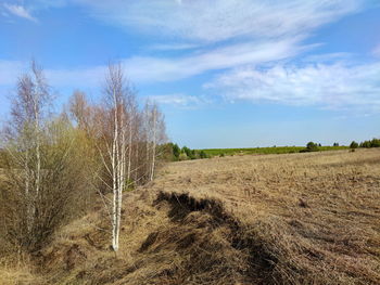 Scenic view of land against sky