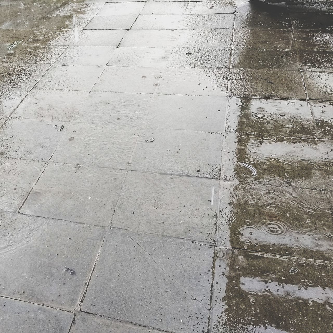 HIGH ANGLE VIEW OF WET FOOTPATH IN RAINY SEASON