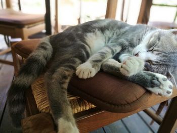 High angle view of cat sleeping on chair