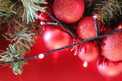 Close-up of christmas tree