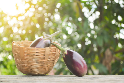 Close-up of eggplants and wicker basket on wooden bench