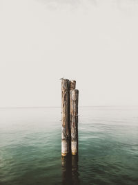Wooden posts on sea against clear sky