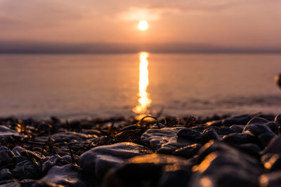 Close-up of sea during sunset