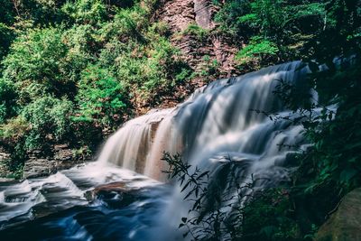 Scenic view of waterfall in forest