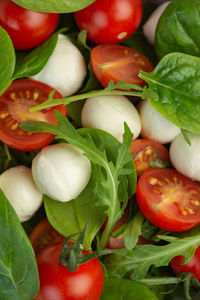 Salad of fresh vegetables and herbs with mozzarella