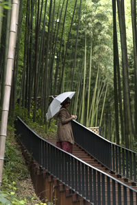 Rear view of woman with umbrella walking in forest