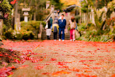 People on footpath during autumn