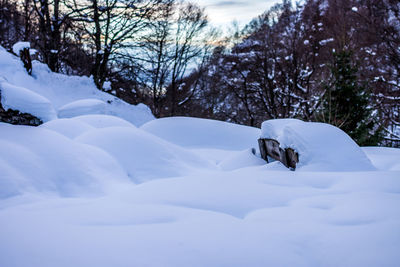 Scenic view of snow covered field and trees