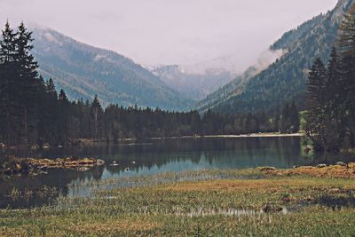 Reflection of trees in calm lake