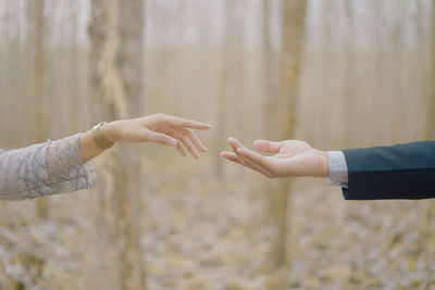 Cropped hand of man holding hands