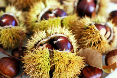 Close-up of fruits