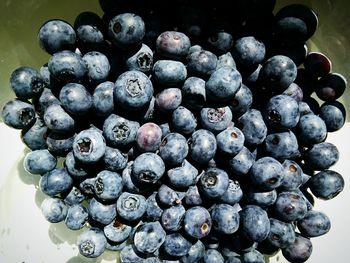 Close-up of blueberries