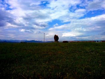 Scenic view of grassy field against cloudy sky