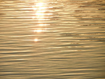 reflection