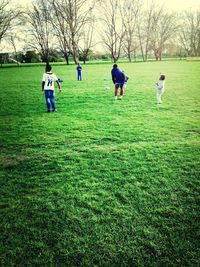 Trees on grassy field in park