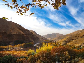 Scenic view of landscape against sky