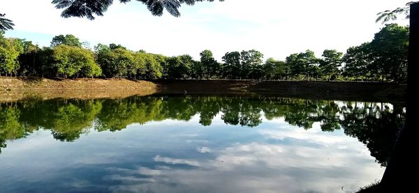 Reflection of trees in lake against sky